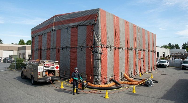 Commercial Fumigation in Ann Arbor, MI