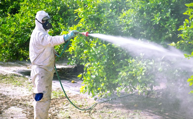 Fumigation Service in Winston Salem, NC