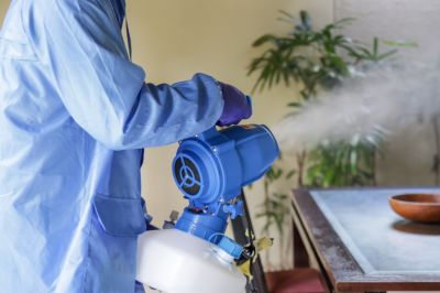 Fumigation Service in Asheville, NC
