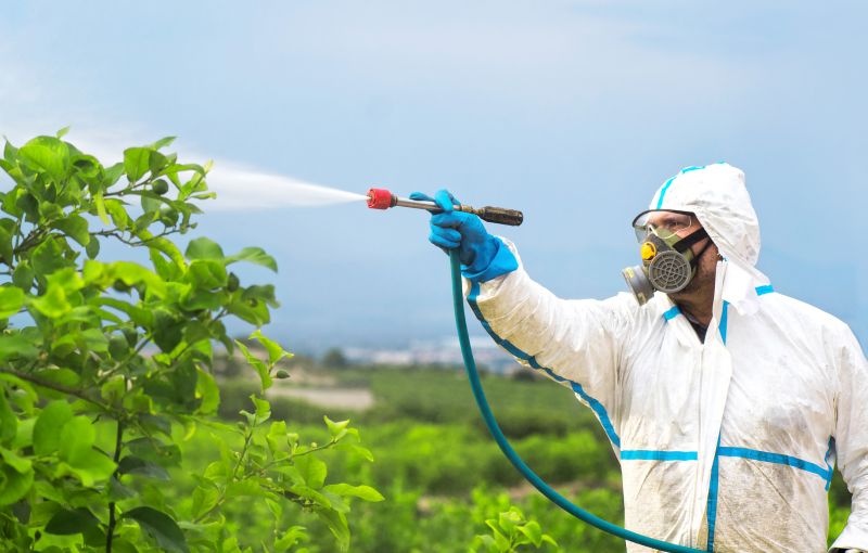 Pest Fumigation Service in Kalamazoo, MI