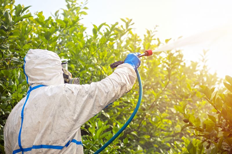 Pest Fumigation Service in Winston Salem, NC