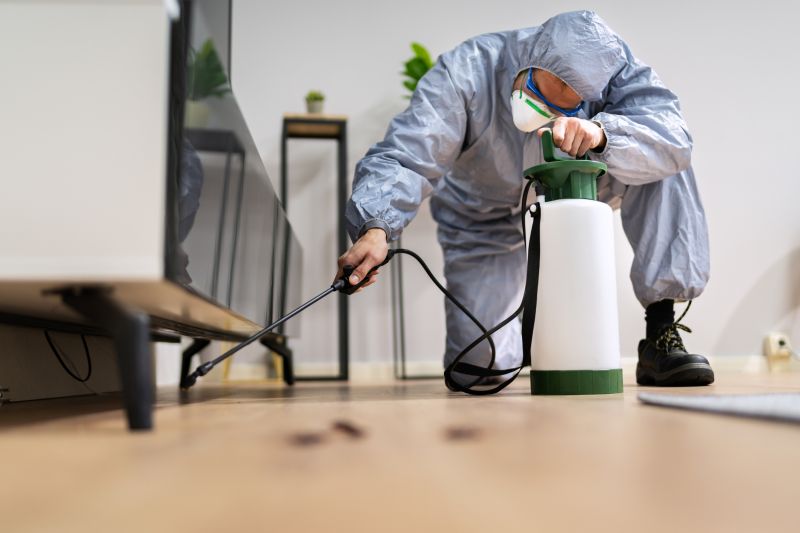 Rat Fumigation Service in Long Island, NY