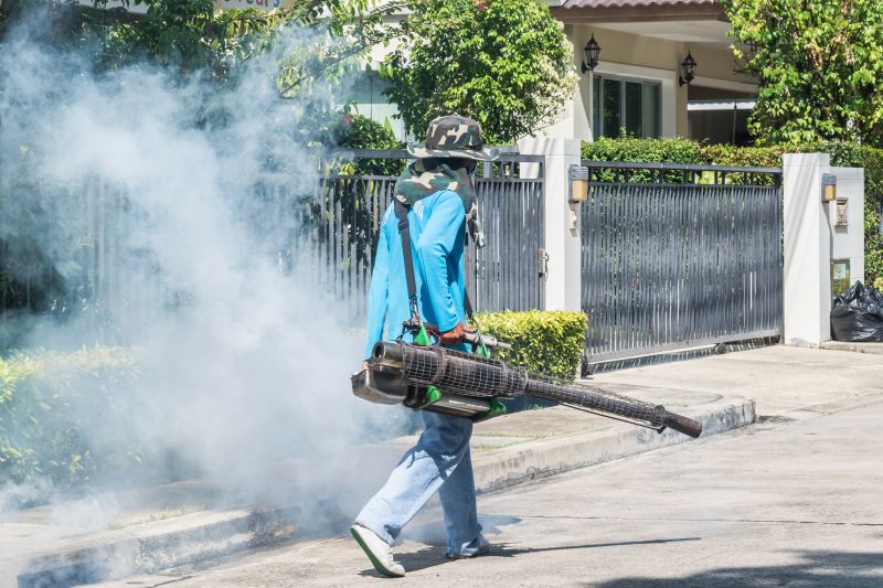 Rat Fumigation Service in Santa Fe, NM