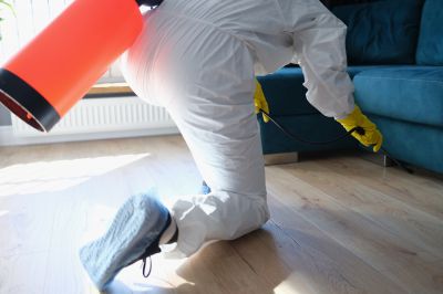 Roach Fumigation in Clarksville, TN