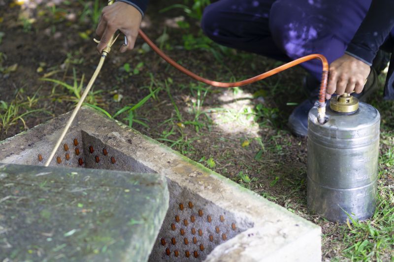 Roach Fumigation in Phoenix, AZ