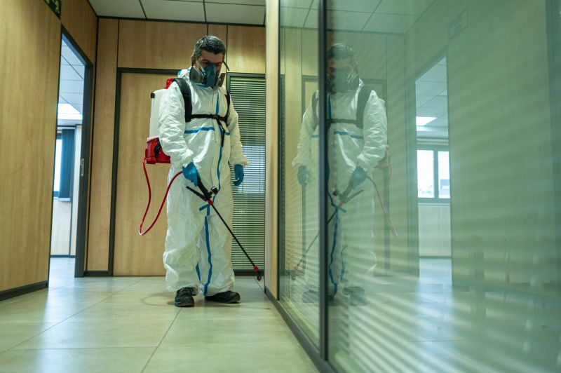 Roach Fumigation in Fort Collins, CO