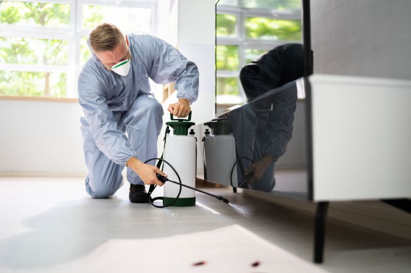 Spider Mite Extermination in Frisco, TX